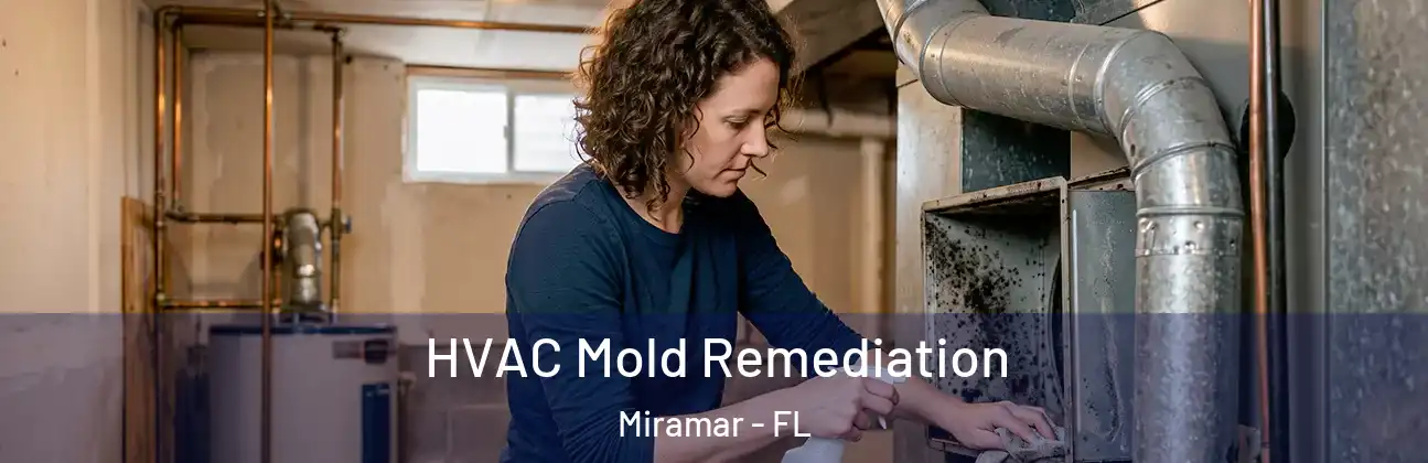 HVAC Mold Remediation Miramar - FL